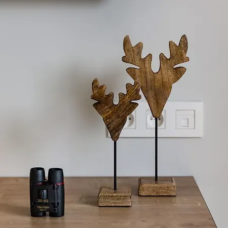 Le Mont Rigi 酒店 4*