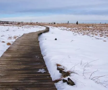 מלון Le Mont Rigi 4*