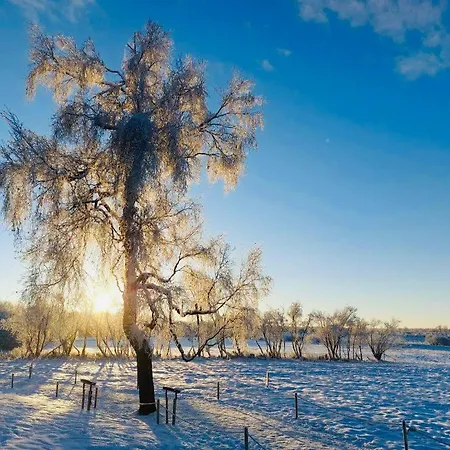 Hotel Le Mont Rigi 4*