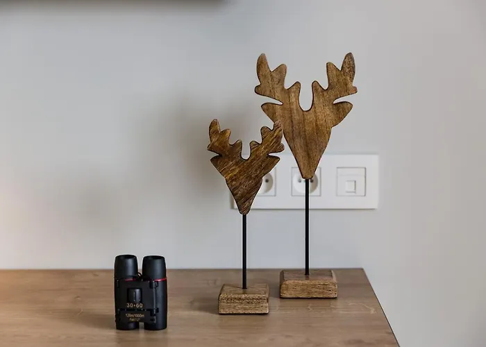 Le Mont Rigi Hotel 4*