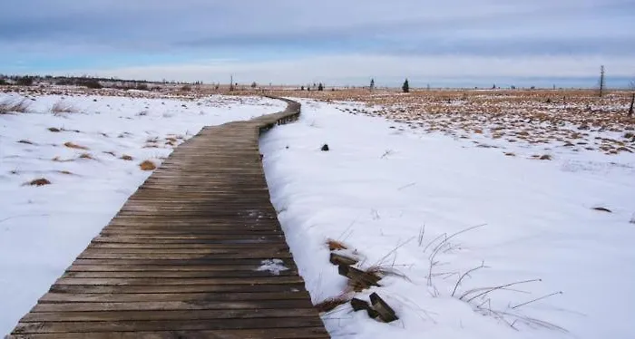 Hotel Le Mont Rigi 4*