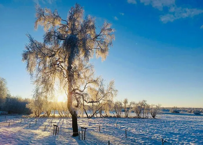 Hotel Le Mont Rigi 4*